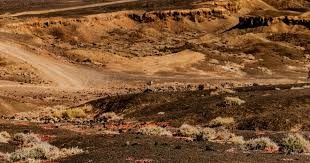 [全运会]不敌福建队 天津女排无缘四强